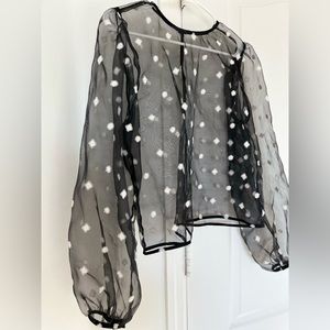 Zara Organza blouse